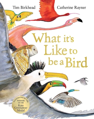 What it's Like to be a Bird book cover