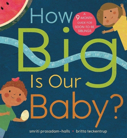 How Big Is Our Baby? book cover