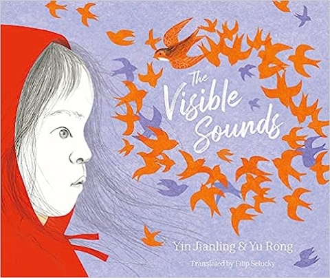 The Visible Sounds Book Cover